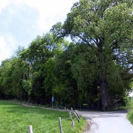 Near Nature Reserve *