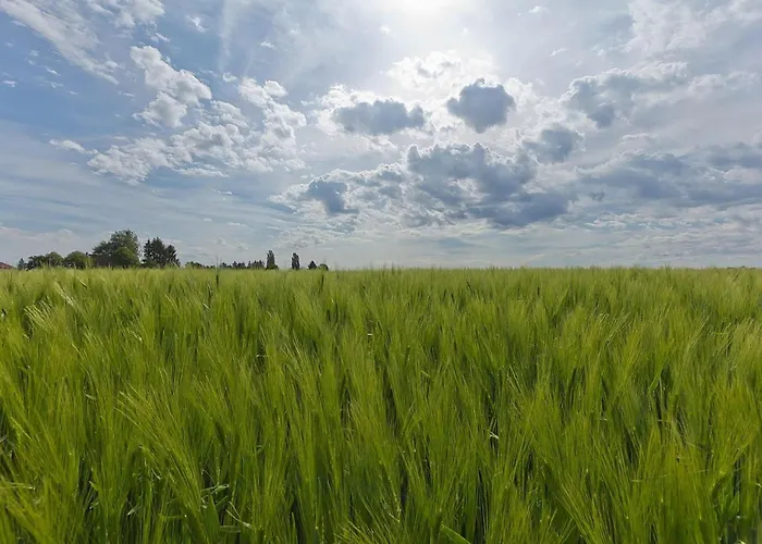 Near Nature Reserve *