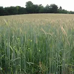 Hébergement de vacances Near Nature Reserve