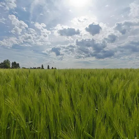 Near Nature Reserve *