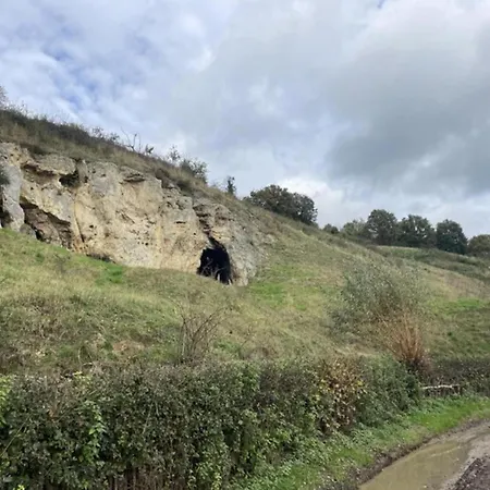 Near Nature Reserve *