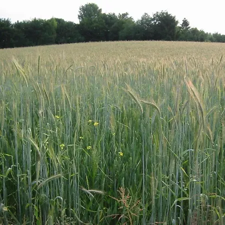 בית נופש Near Nature Reserve