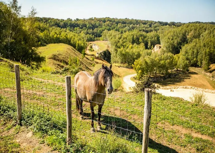 Holiday home Near Nature Reserve