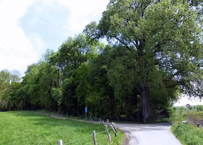 Near Nature Reserve *