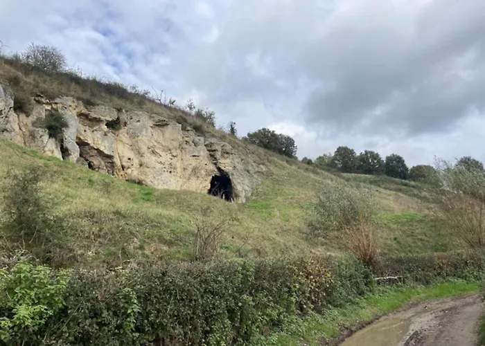 Near Nature Reserve *