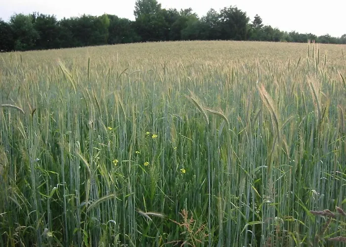 Holiday home Near Nature Reserve